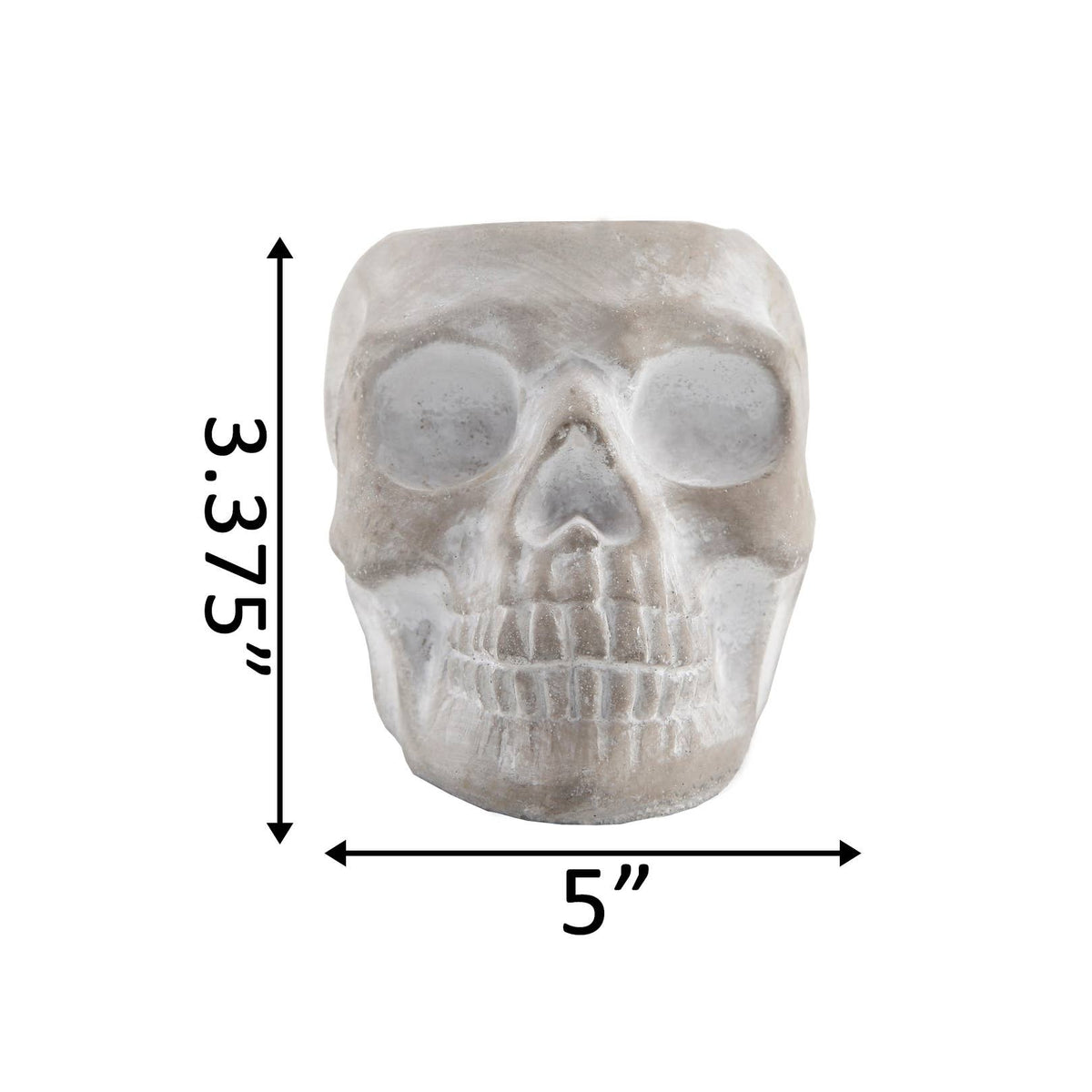 Gray cement sugar skull planter with measurement arrows labeled 5 inches wide and 3.375 inches high