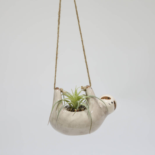 Hanging Sloth Succulent