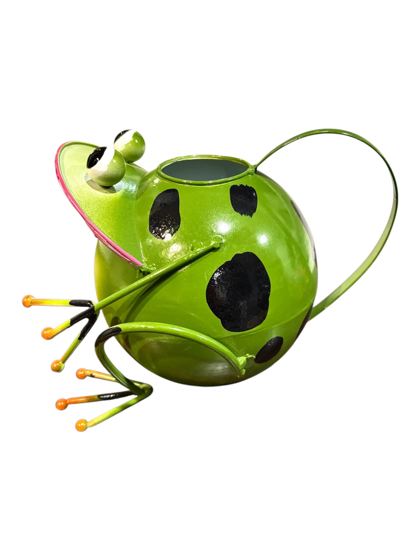 Hand Painted Frog Watering Can