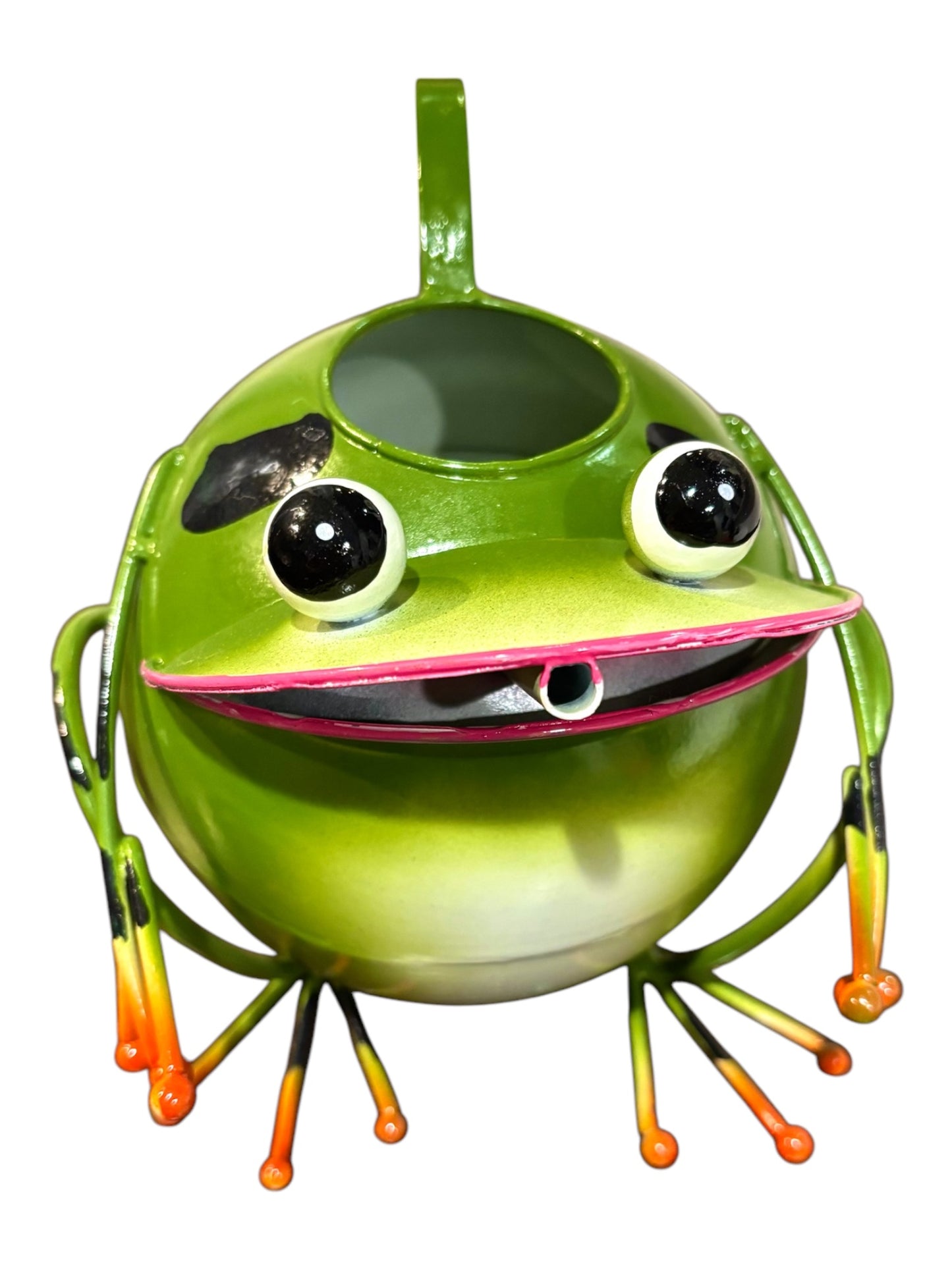 Hand Painted Frog Watering Can