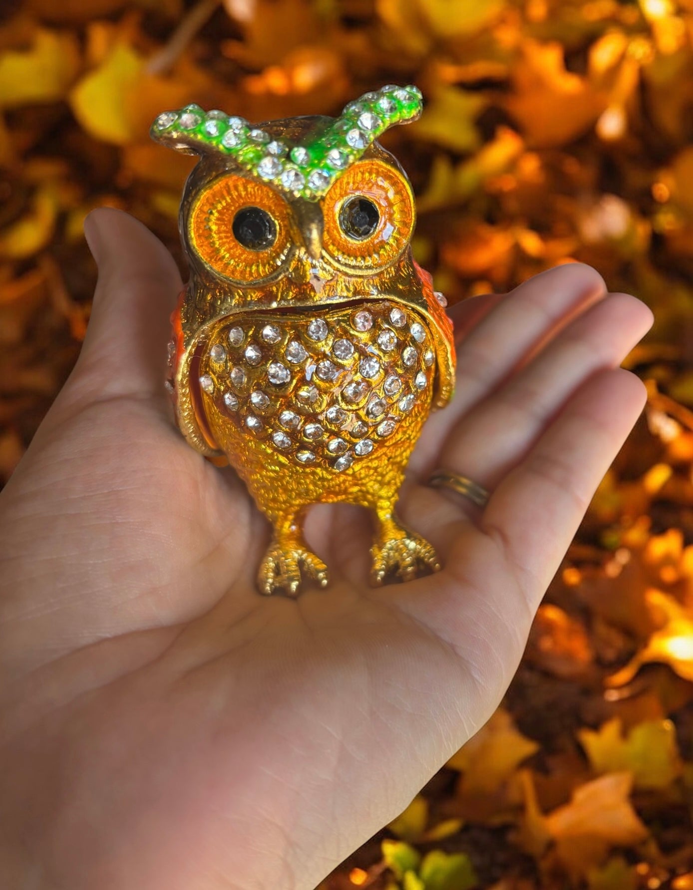 Owl Trinket Box