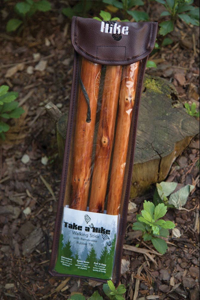 Walking Stick W/ Compass & Pouch