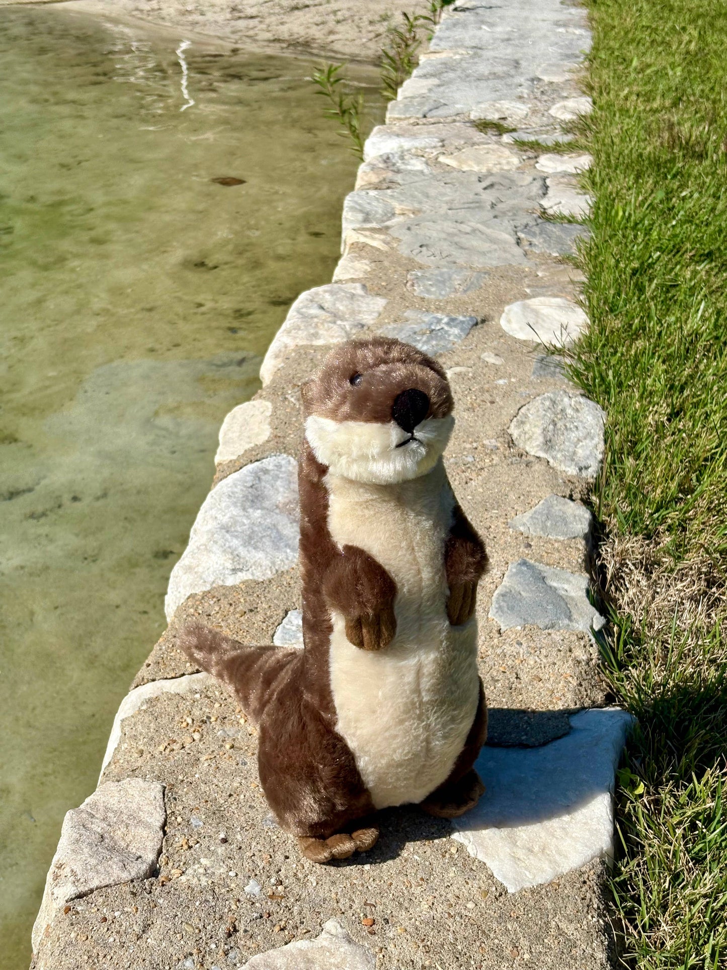 Wild Onez River Otter