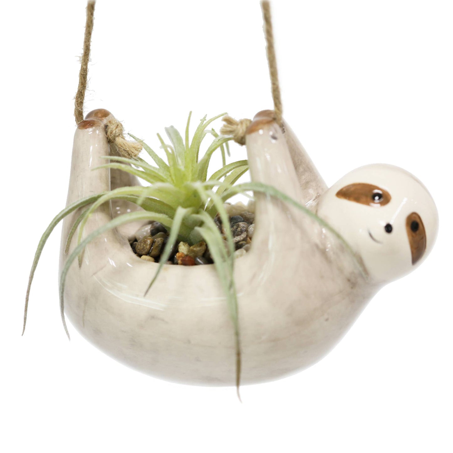 Hanging Sloth Succulent