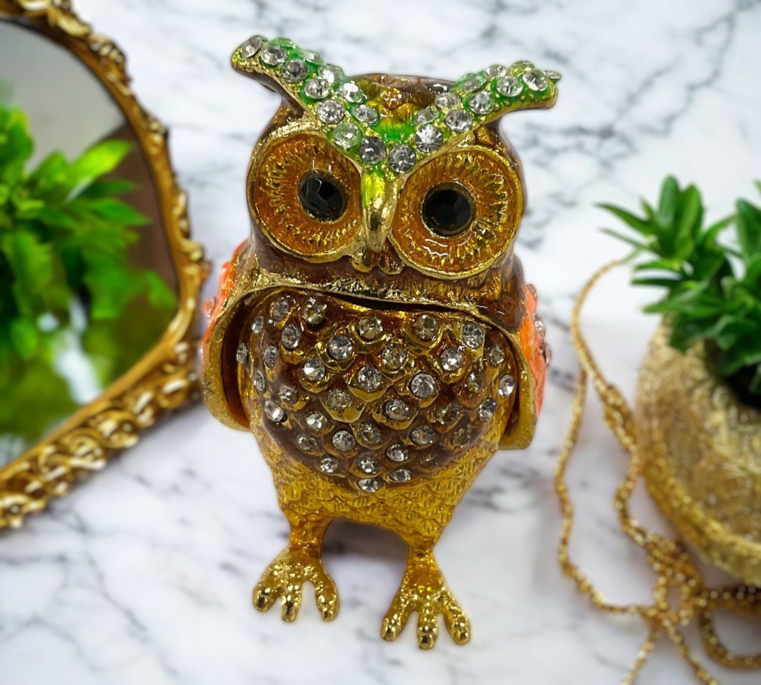 Jewelry & Accessories