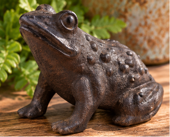 Brown cast iron sitting frog figurine on rustic wood surrounded by green plants