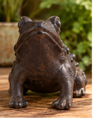 Front view of cast iron sitting frog statue with raised eyes and planted front feet