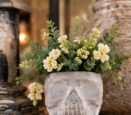 Gray cement sugar skull planter filled with cream flowers and greenery in a rustic indoor display