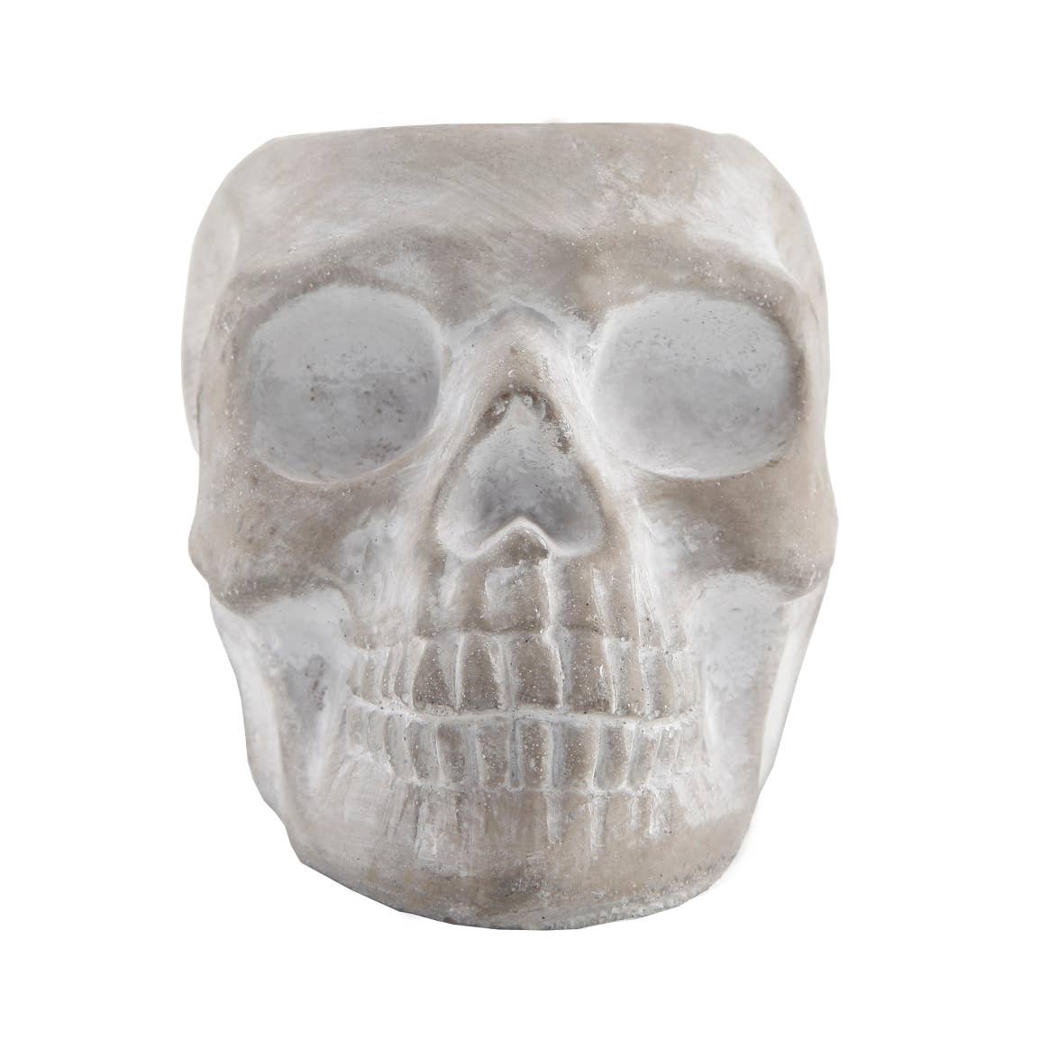 Front view of an empty gray cement sugar skull planter on a white background