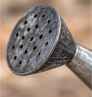 Close-up of the mini watering can’s round perforated sprinkler spout