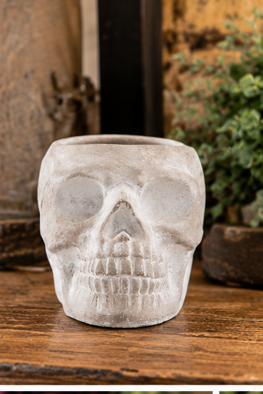 Empty gray cement sugar skull planter on a rustic wooden shelf with its open top visible
