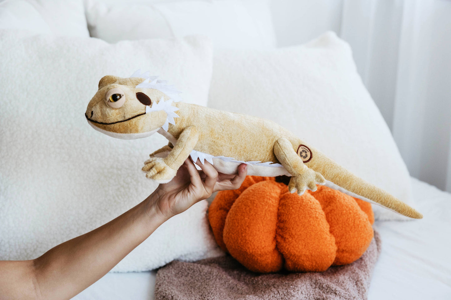 Wild Onez Bearded Dragon