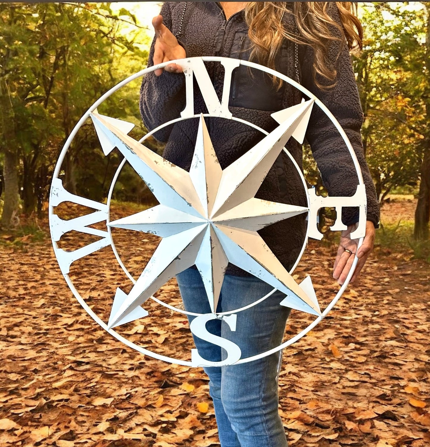 Galvanized Compass Wall Sculpture: Distressed White