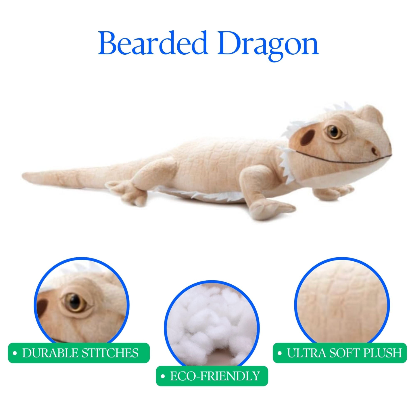 Wild Onez Bearded Dragon