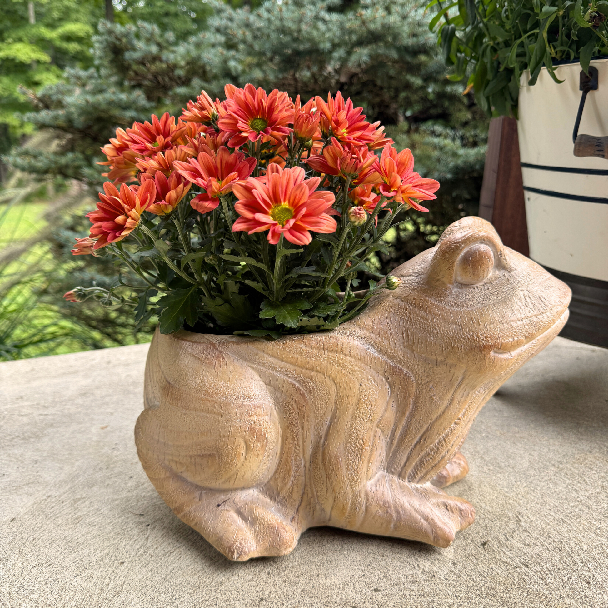 Woodland Whimsy frog planter with orange mums on outdoor patio, side angle showing full body and MGO wood-grain sculpted detail