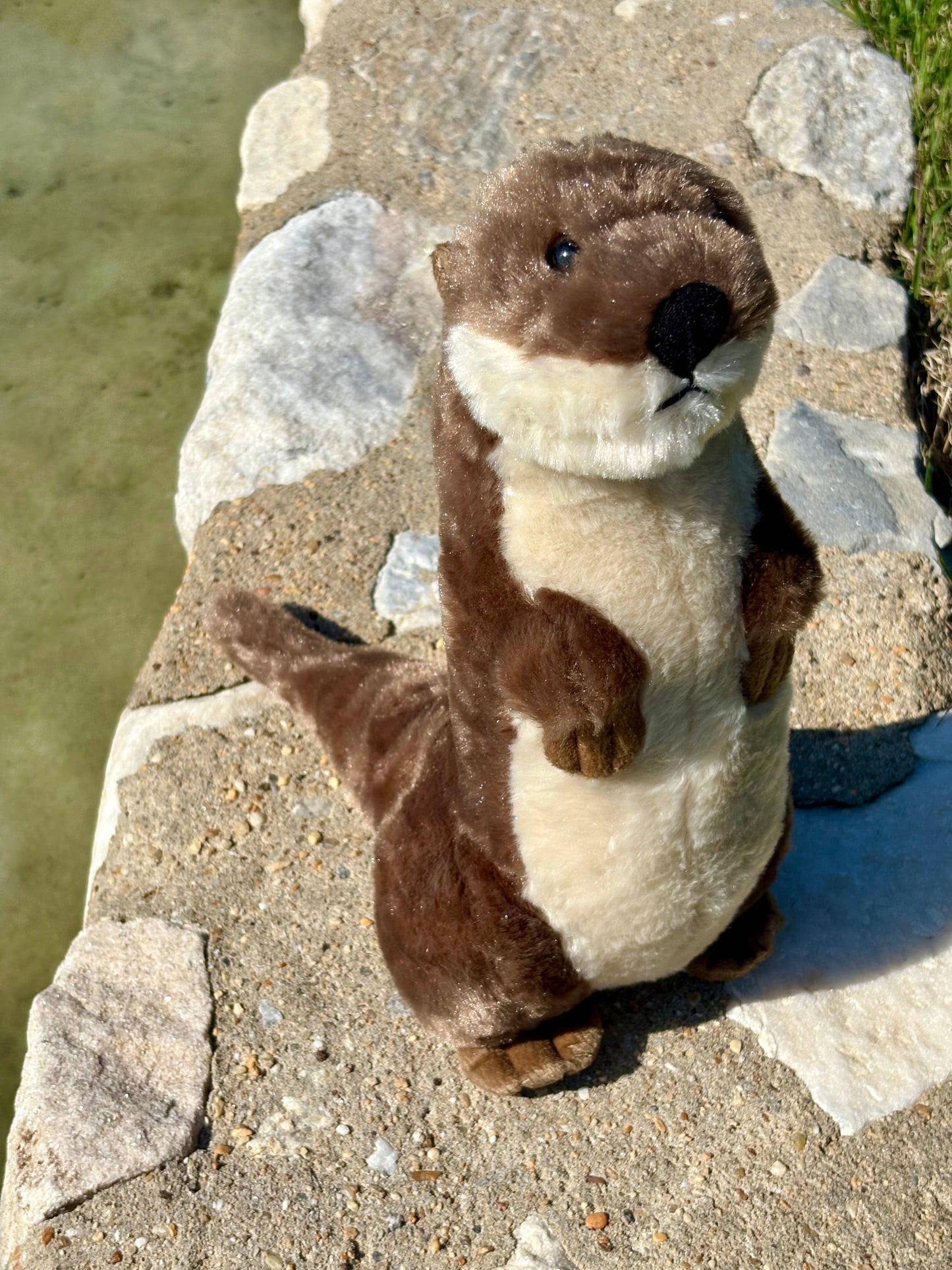 Wild Onez River Otter