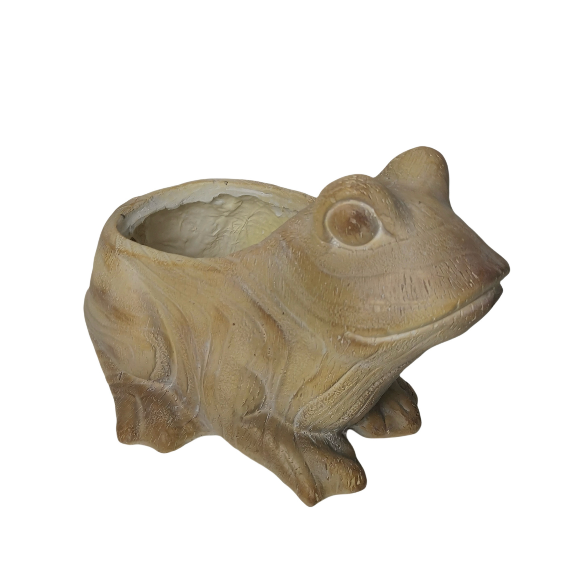 Woodland Whimsy frog planter empty on white background showing open planting cavity, hand-chiseled wood-grain texture, and front-facing frog detail