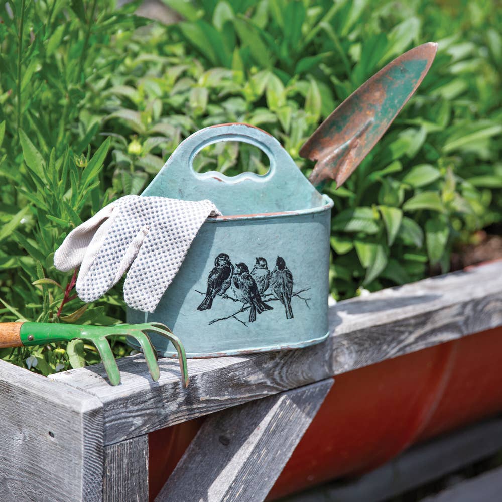 Songbirds Divided Caddy