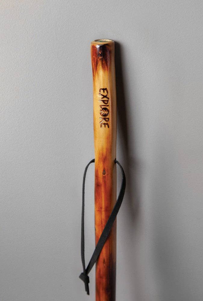 Walking Stick W/ Compass & Pouch