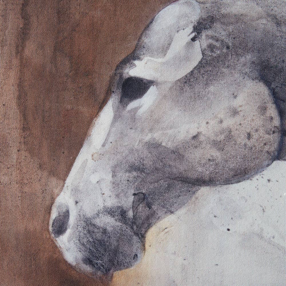 Close-up of the gray horse’s face and visible canvas texture in the Peering Horse wall art