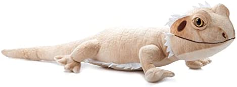 Wild Onez Bearded Dragon