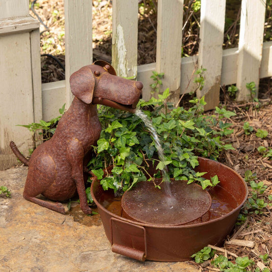 "Best Friend" Fountain