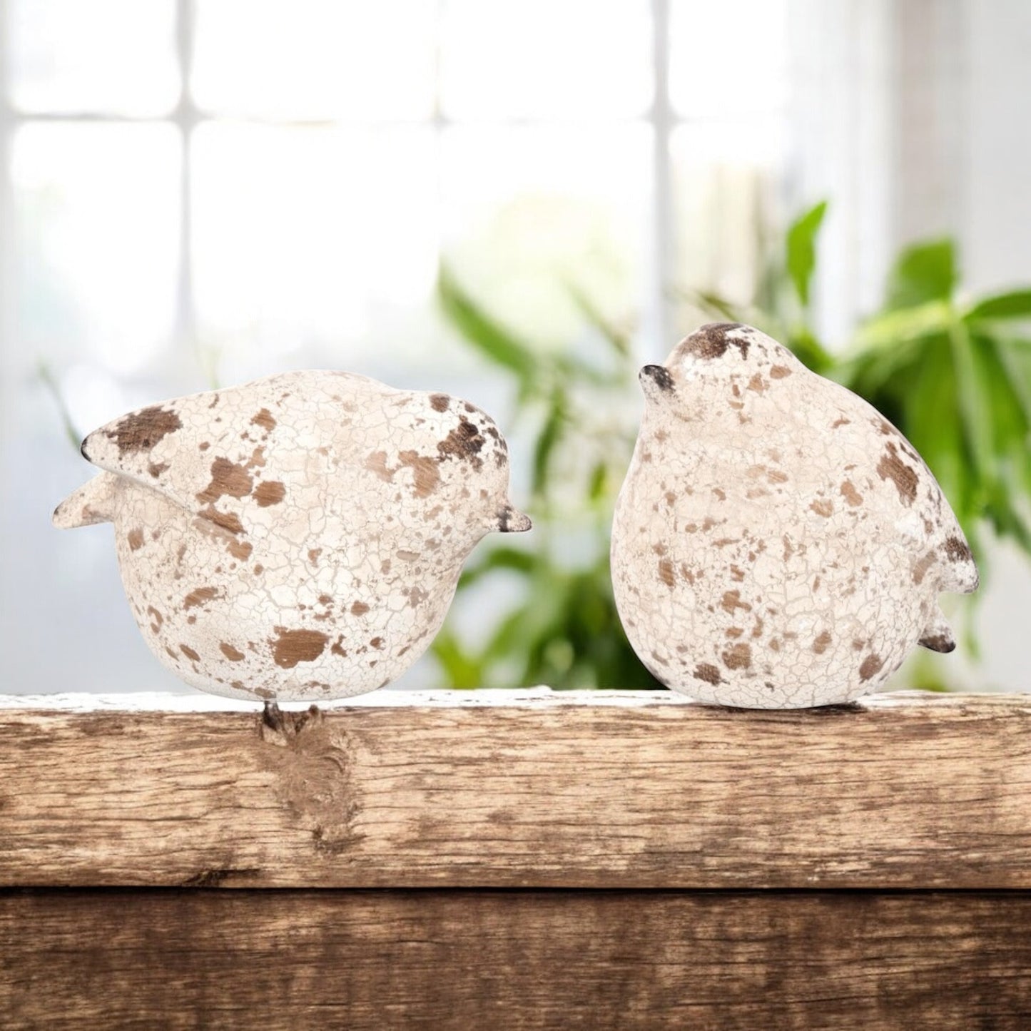 Charming Terracotta Chubby Birds Set of 2