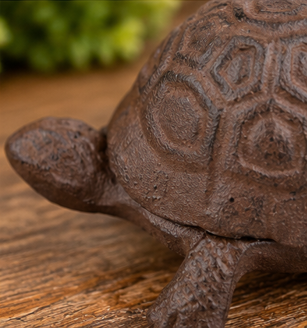Close-up of the cast iron turtle’s patterned shell, textured head, and detailed front foot.