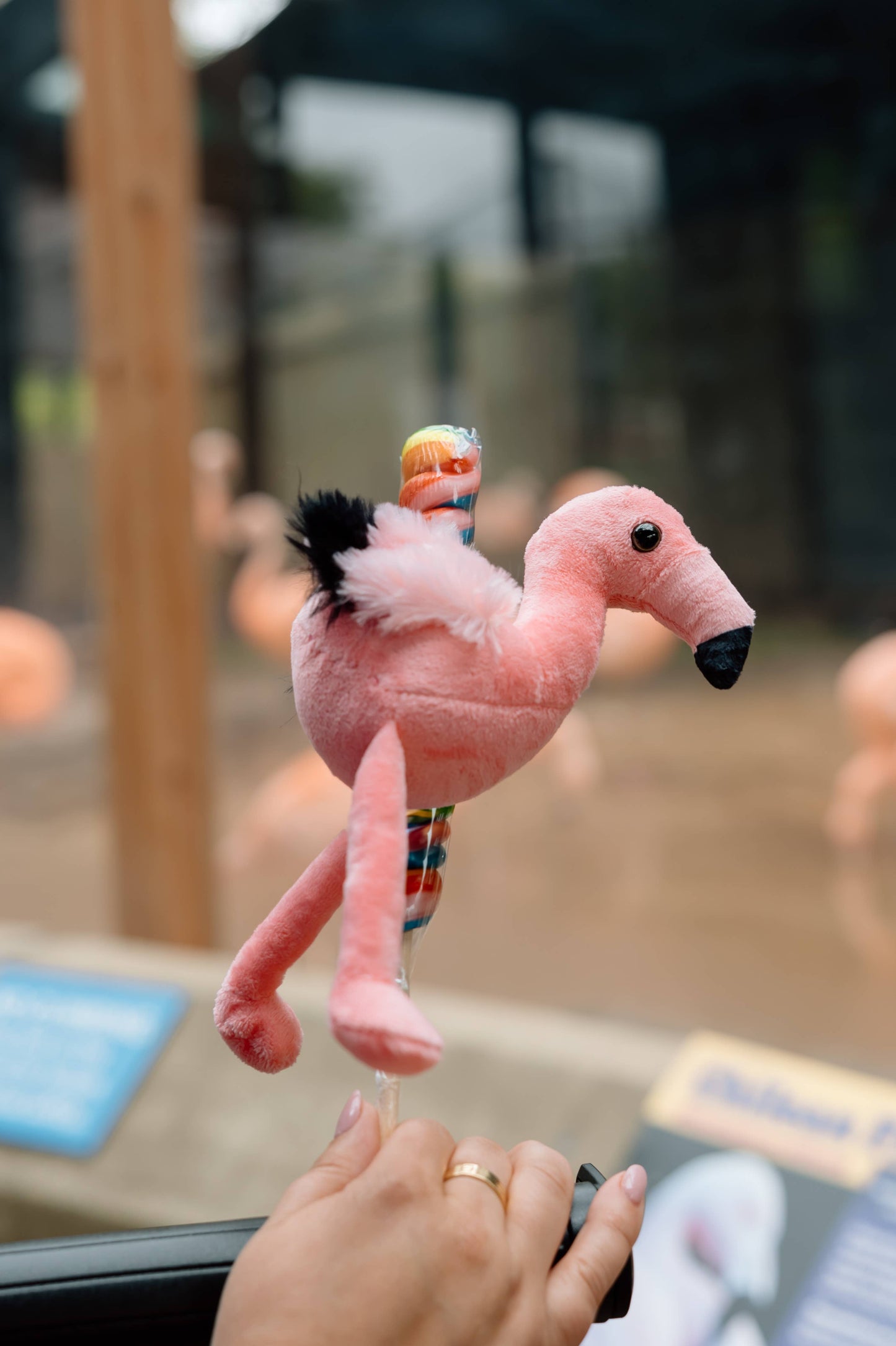 8" (20cm) Lollyplush T Rex Dino w/14" Rainbow Lollipop