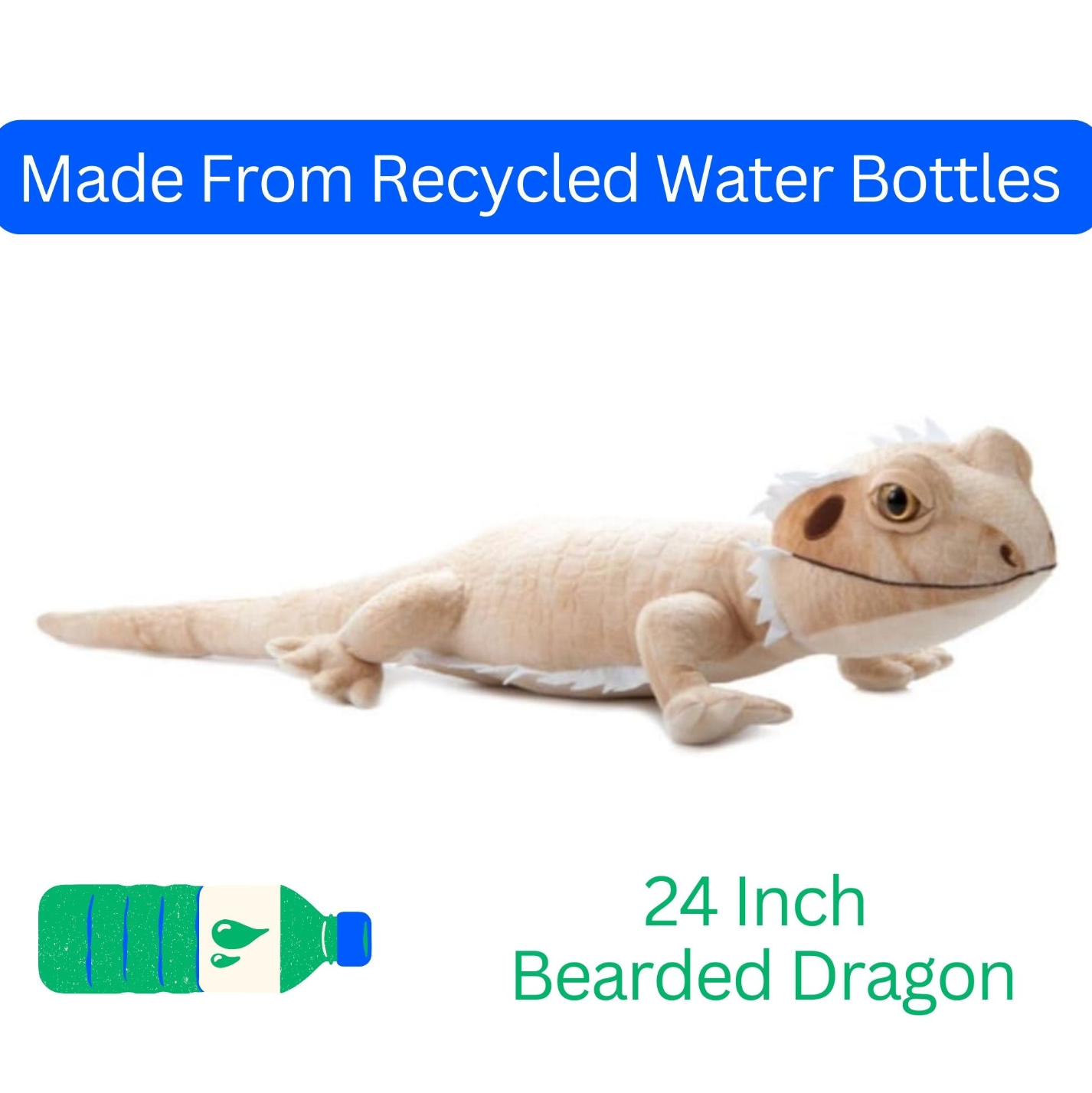 Wild Onez Bearded Dragon