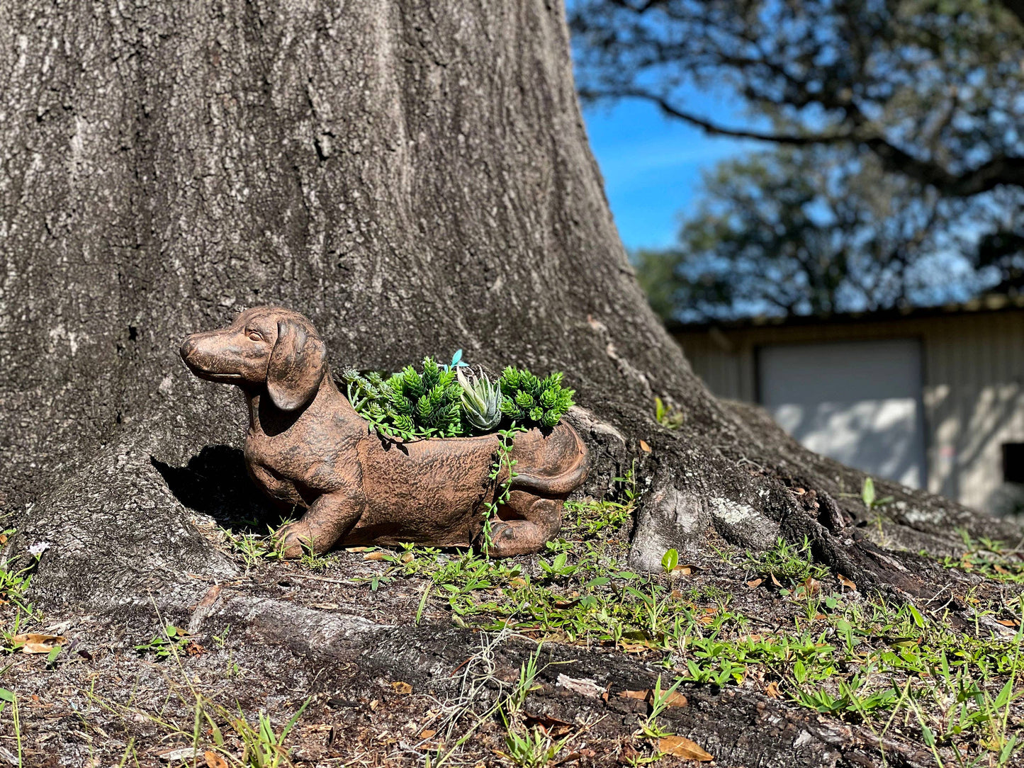 Rustic Dachshund Dog Planter