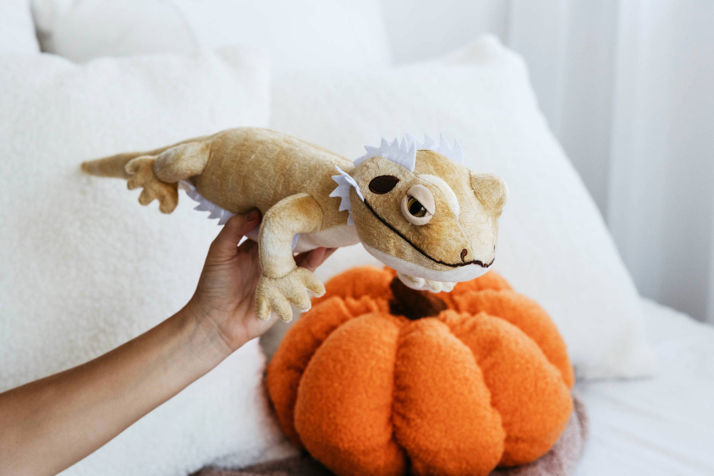 Wild Onez Bearded Dragon